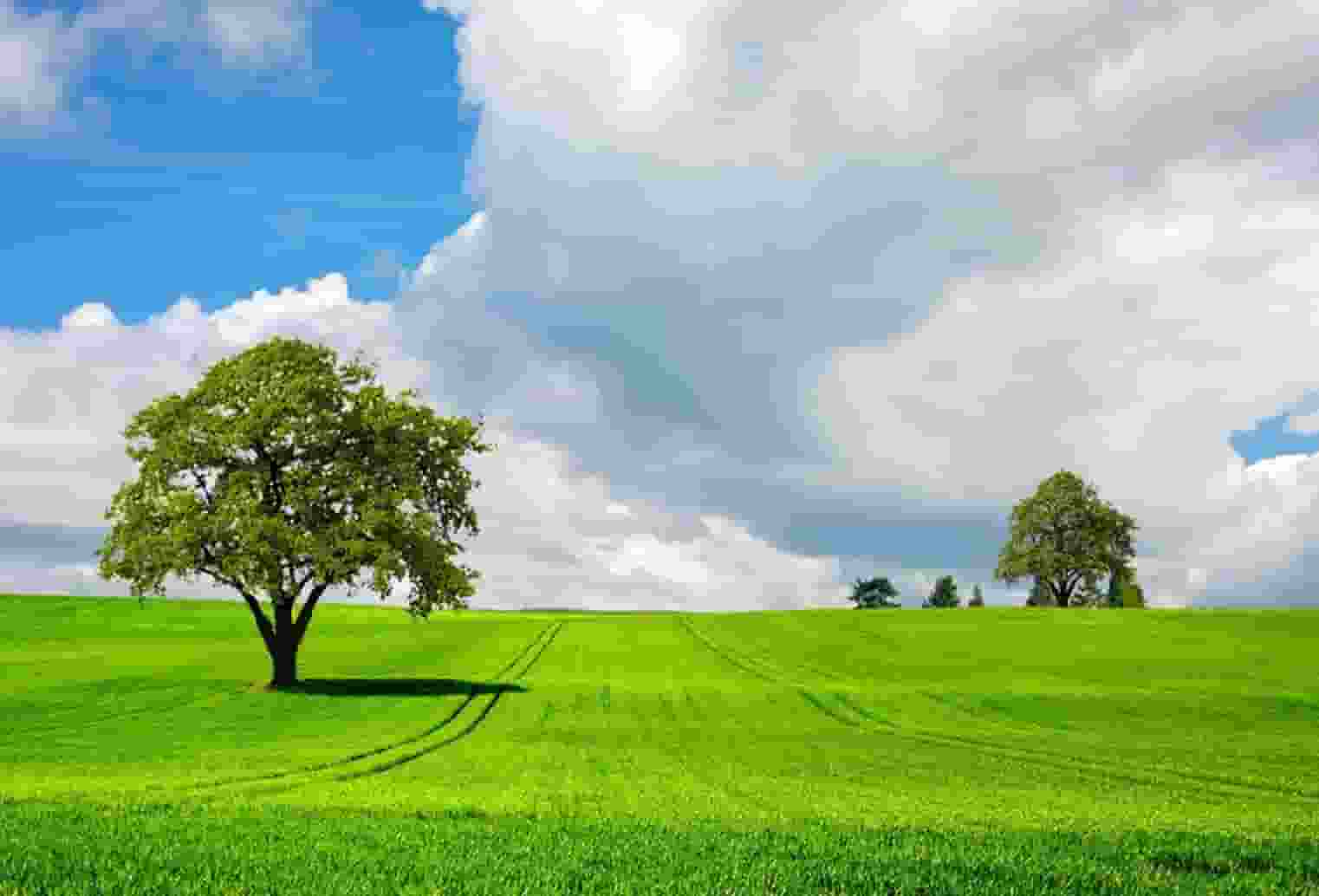 买什么房子值不值得买(徐州房子值不值得投资)