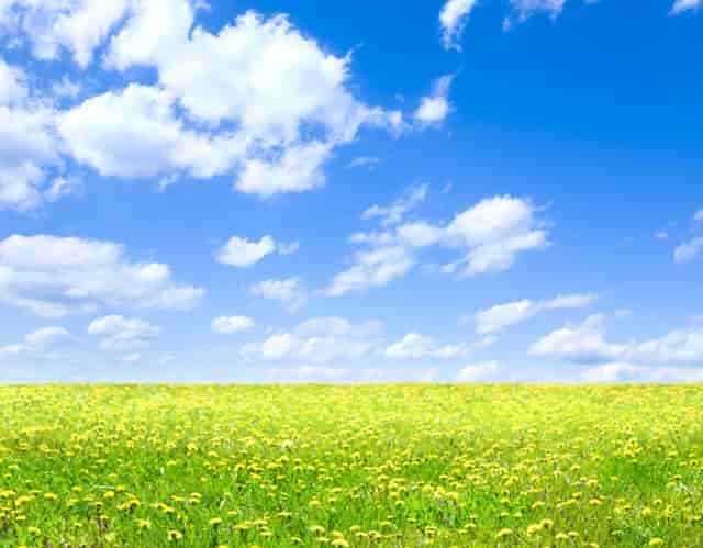 福建兴业银行社保卡密码