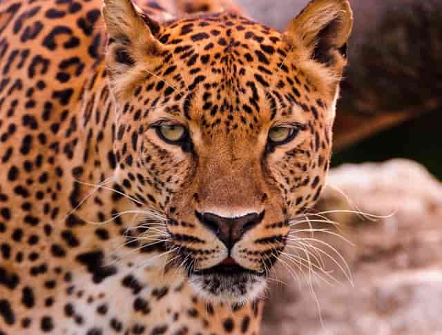 人民币对美元汇率与美国关系