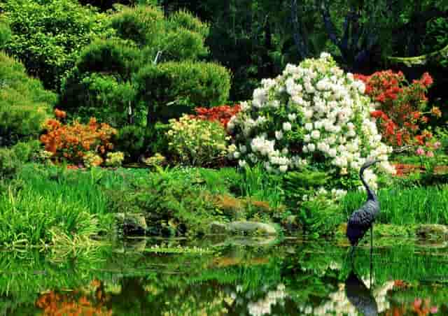 袖虎养猫疑问：它居然流红色的泪？！