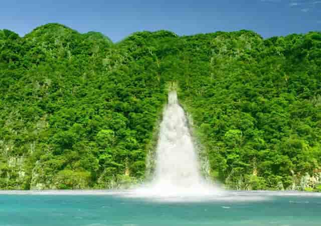 袖虎的问题，你做好收养流浪狗的准备了吗？