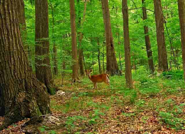 41岁刘璇晒出二胎女儿照片，虎妈对儿子的教育方式让人堪忧？