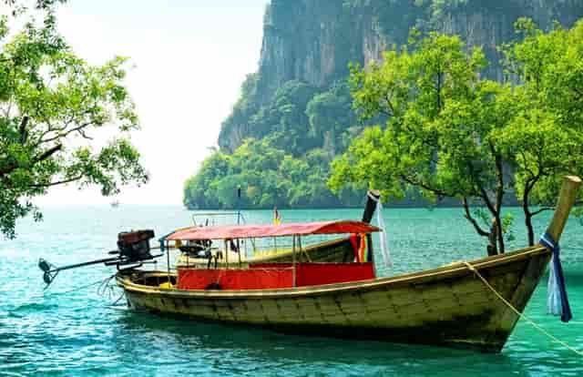 袖虎病猫攻略：冬季猫咪如何防猫癣？