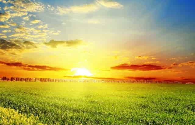 杏仁优护：老年人高脂蛋白血症怎么护理？