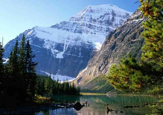 早上好问候语言的图片