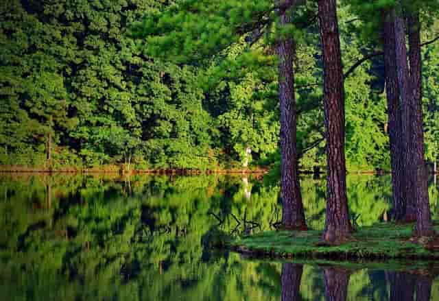 国庆长假，孕妈能出门旅游吗？专家给你整理了一份超详细出行攻略