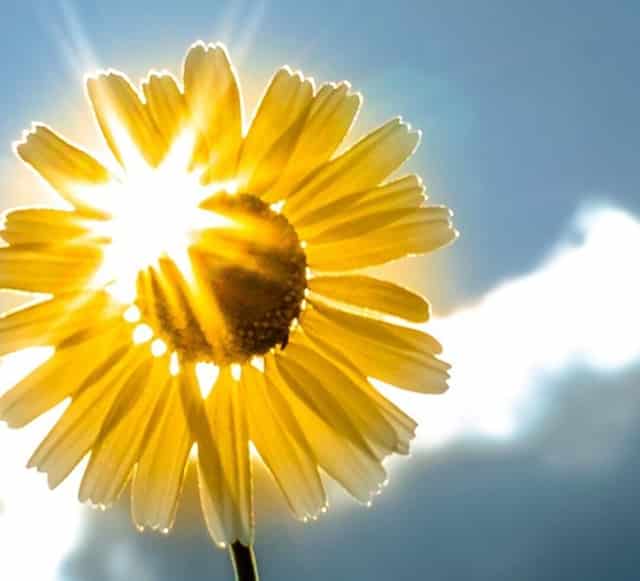 年终考核手册怎么写