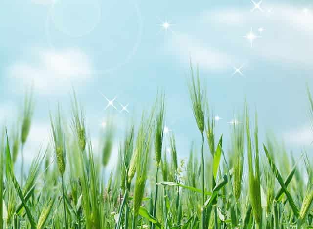 贵州新晋“烂尾王”，耗资32.5亿却遭废弃，“复活”无望！