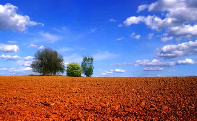 牙疼也是病，袖虎提醒这病会要命