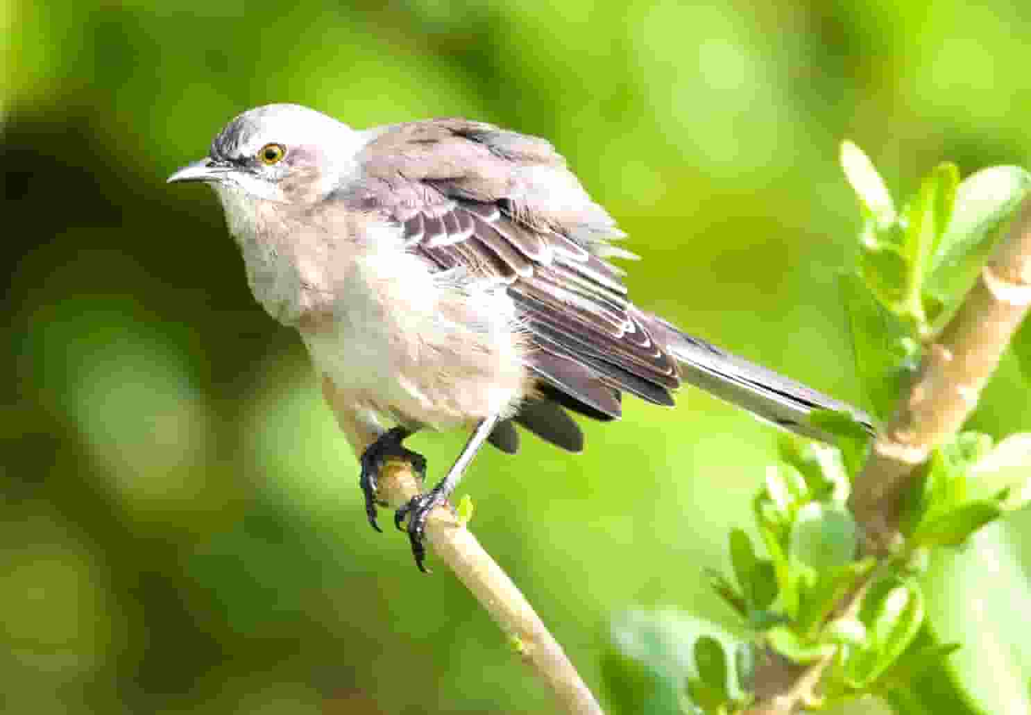 投资是解决通货膨胀的最佳选择