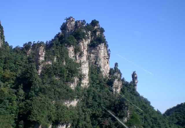 袖虎病猫攻略：捡到幼猫怎么养