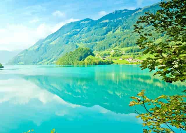 猫毛会被人类吸入肺部吗？袖虎告诉你靠谱！