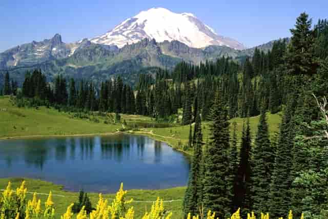 高血压已经粘住变了