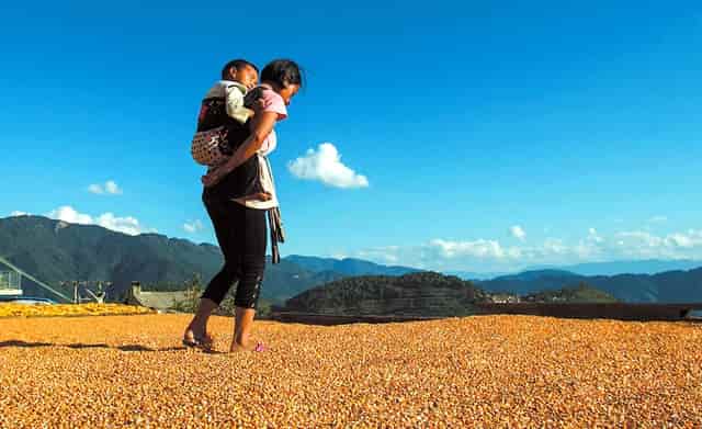 专科何时报考志愿