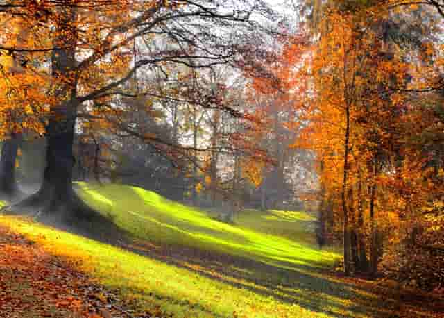 小型机械手操作视频