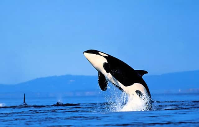 电动车 五菱宏光