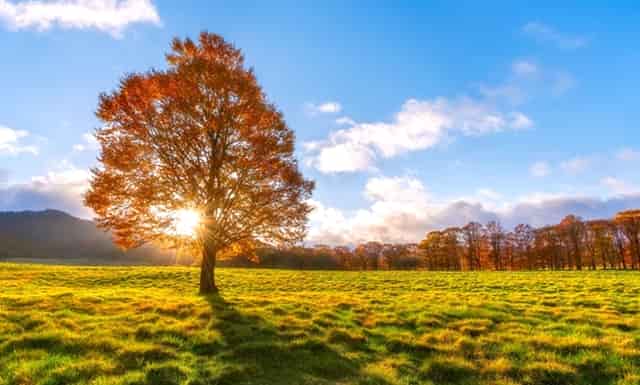 BBR万国IWC葡萄牙系列恒定动力陀飞轮“150周年”特别版