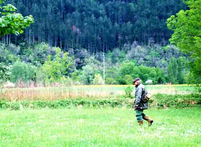无糖月饼中的“隐形糖”，高血糖的人，怎样吃月饼才健康？