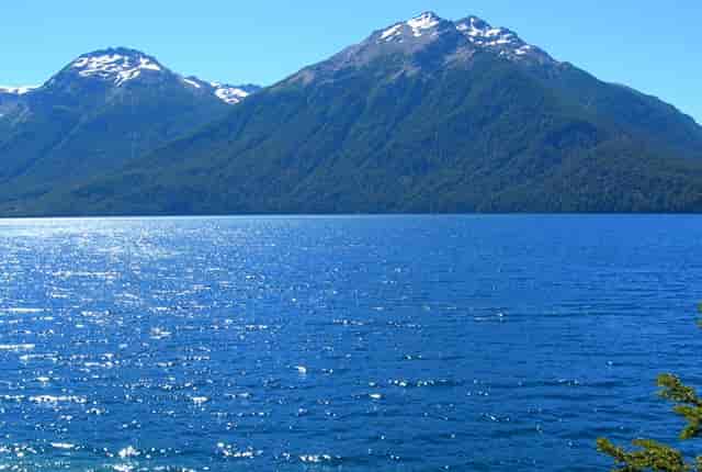 袖虎病狗攻略：眼泪汪汪的贵宾，小心得病