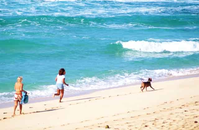 颜值出众，功能丰富，vivo WATCH表现属实不赖