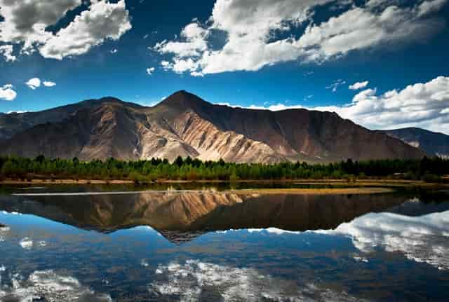 党史学习教育办实事开展情况