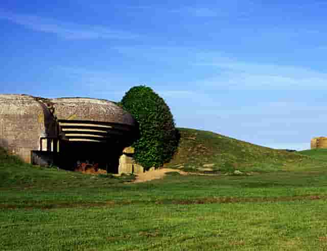 袖虎新养宠防坑：小心感冒变成猫鼻支