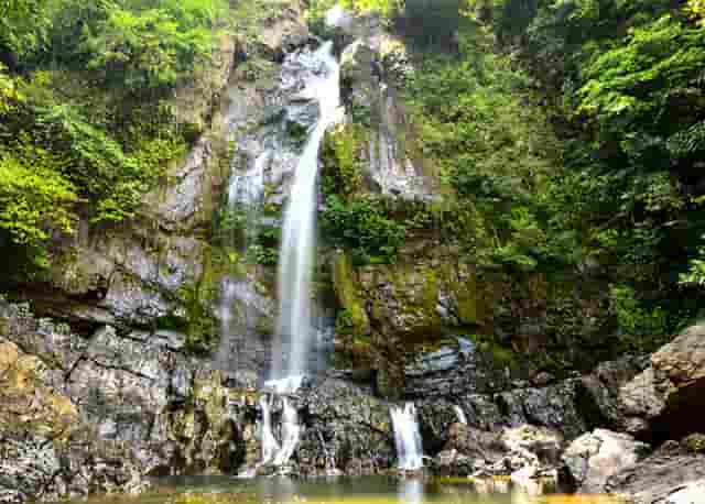 靶向药新星·拉罗替尼不限癌种（Larotrectinib，LOXO-101）