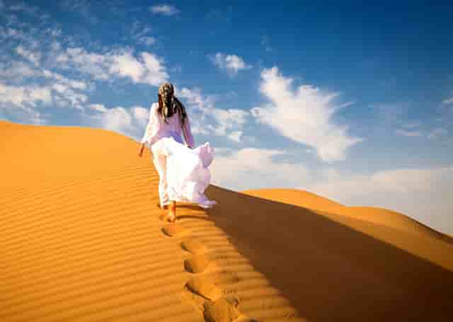 猫有问题找袖虎售后，避免踩坑哦