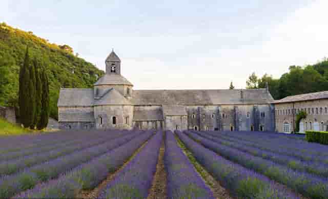 全息摹复 焕彩流丹 ——和林格尔东汉墓室壁画整体摹复及中国古代壁画的非本体再现展学术研讨会将在上海举办