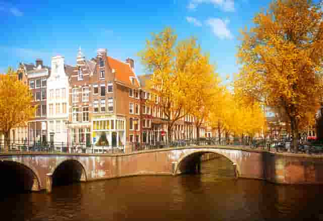 袖虎病狗攻略：哮喘的狗狗要小心