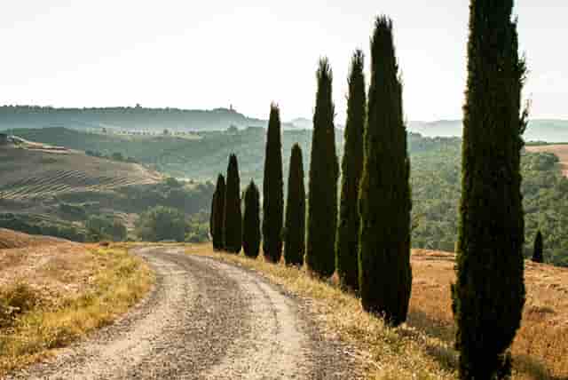 新浪官网、今日头条官网——国内仅有在个人手中的顶级域名