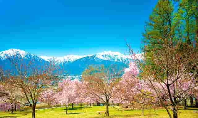 时尚穿搭女秋冬技巧(时尚穿搭秋冬图片)