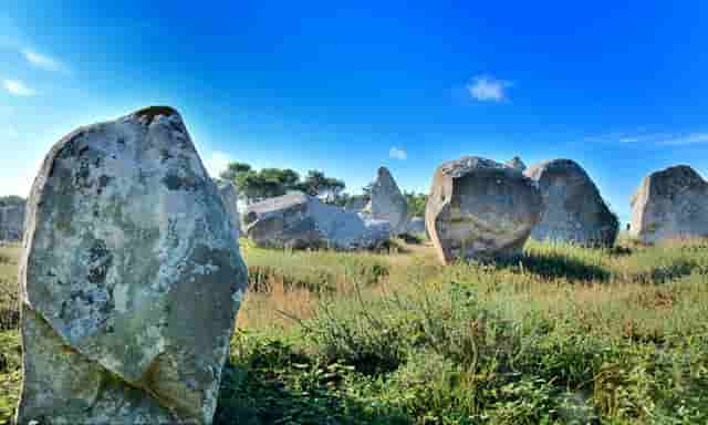 蔡嘉珍成功獲得註冊理財規劃師資格