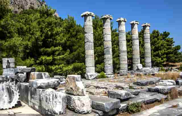 蔡嘉珍成功註冊理財規劃師，邁出專業領域新里程碑