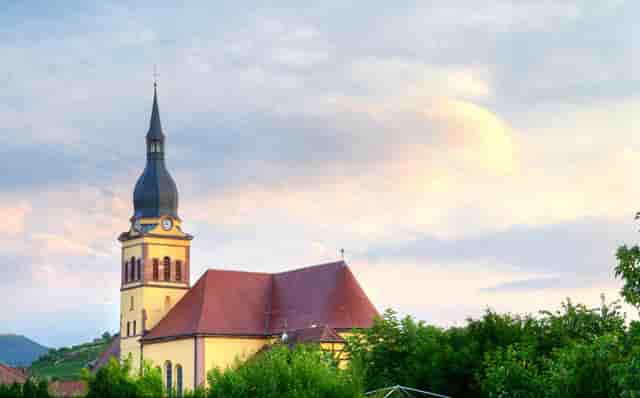 袖虎宠物带你避雷星期猫！不可马虎大意！