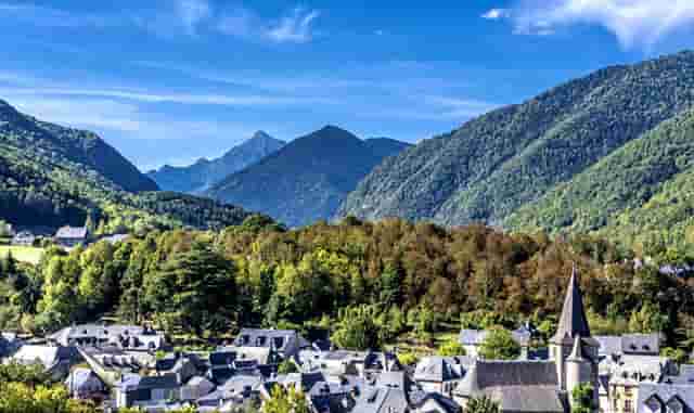 袖虎病猫攻略：猫不正常掉毛的五大原因，你知道几个？