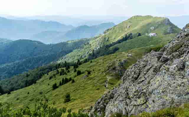 梦见老公有钱但不给我花(梦见自己嫁了一个有钱的老公)