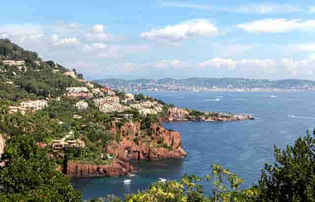 袖虎病猫攻略：关于猫咪眼泪这事你可能不知道