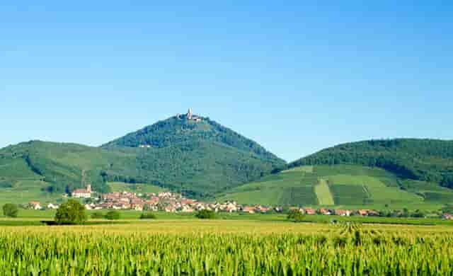 青鸟在古文中什么意思(青鸟歌词表达什么意思)