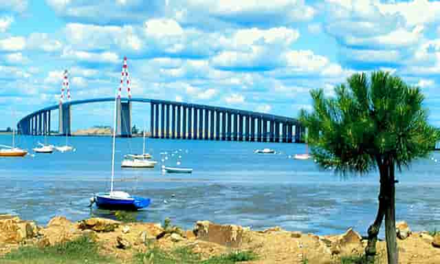 优秀清洁工简短申请表(清洁工转正申请表)