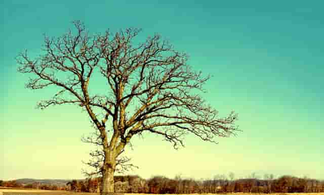 柒时尚摄影技巧