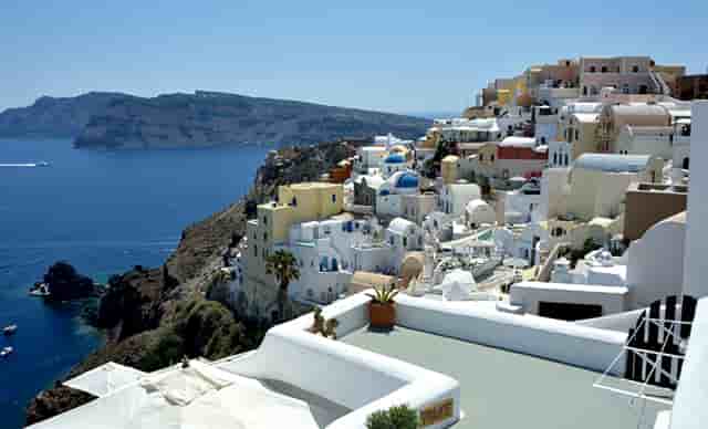 袖虎病猫攻略：猫咪嘴肿怎么办？