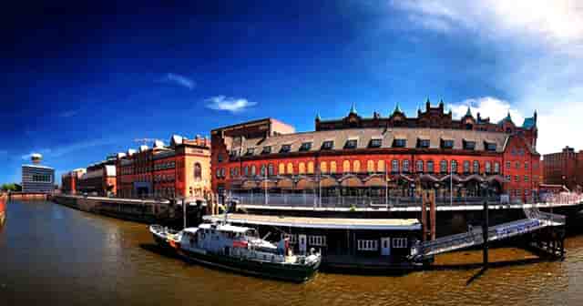 植物花拟人化场景(植物拟人简笔画场景图)