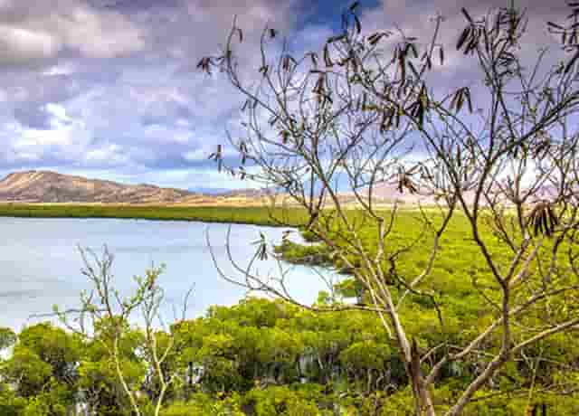 开宠物店需要多少钱？袖虎宠物低成本高收入！