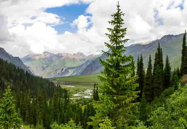 提升时尚度的技巧(提升直播关注度的技巧)