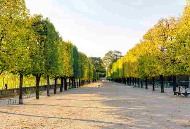 追求时尚的技巧(追求时尚的好处)