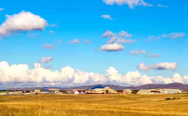 加盟热潮，袖虎宠物带你挣大钱！