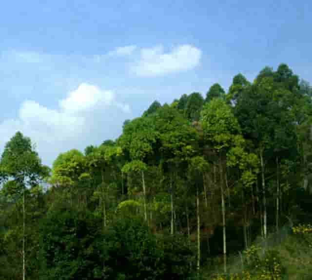 时尚最全地铁拍照小技巧