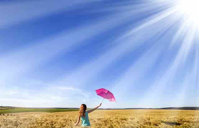 袖虎病猫攻略：猫细小的症状有哪些？