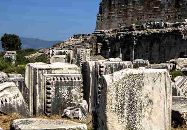 袖虎病狗攻略：狗狗喂养的4大误区和7大正确方法